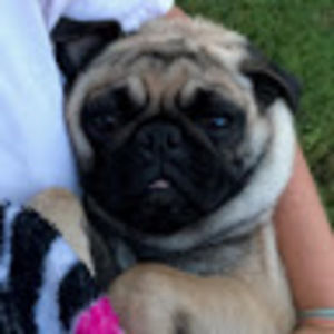 Meet your Posher, Kierra